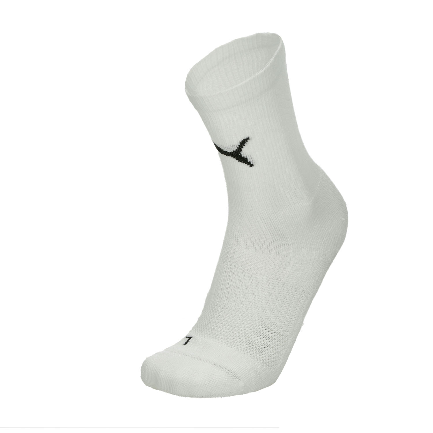 Puma TeamGOAL Performance Calze - White/Black