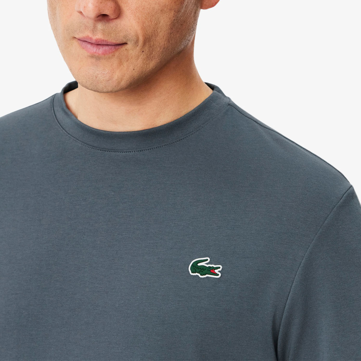 Lacoste Graphic Logo T-Shirt - Gris
