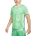 Nike Victory Novelty T-Shirt - Spring Green/Barely Green/White